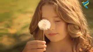 الزاجل سفير الإنسان الأول : #شركة الزاجل للصرافة screenshot 1