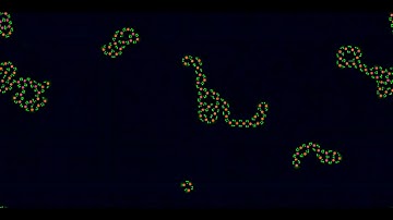 Cellular Automata - Slackermanz