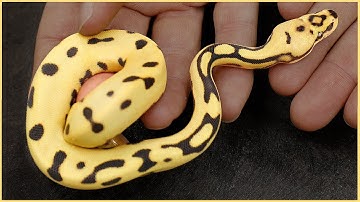 Craziest Desert Ghosts I