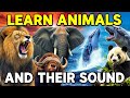 Learn Animals And Their Sounds For Kids | Kidsy Bitsy