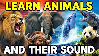 Learn Animals And Their Sounds For Kids | Kidsy Bitsy