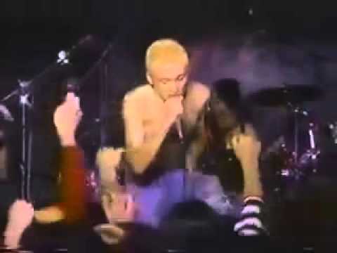THE BLUE HEARTS　Linda Linda Live