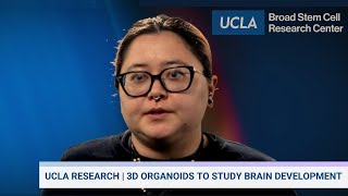 Using 3D Mini-Brain Organoids to Study Mysterious Rett Syndrome | Natella Baliaouri