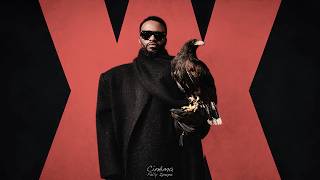 Fally Ipupa - Cinéma