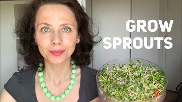 How to grow sprouts at home with Biosnacky