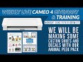TRW LIVE Giveaway and Training | Making Custom Decals and Shirts with our Animal Peek Pack!