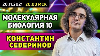 видео: Константин Северинов. Молекулярная биология. Ответы на вопросы к лекции картинка: Константин Северинов. Молекулярная биология. Ответы на вопросы к лекции