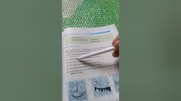 Unit 10: Recycling- language focus