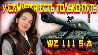 ПРОБУЕМ WZ 111 5A НА ВКУС