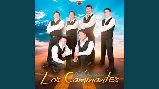 Video thumbnail of "Los Caminantes De Ingapirca - Mi Cariñito"