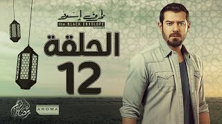 مسلسل ظرف اسود - الحلقة الثانية عشر -  بطولة عمرو يوسف - Zarf Esswed Series HD Episode 12