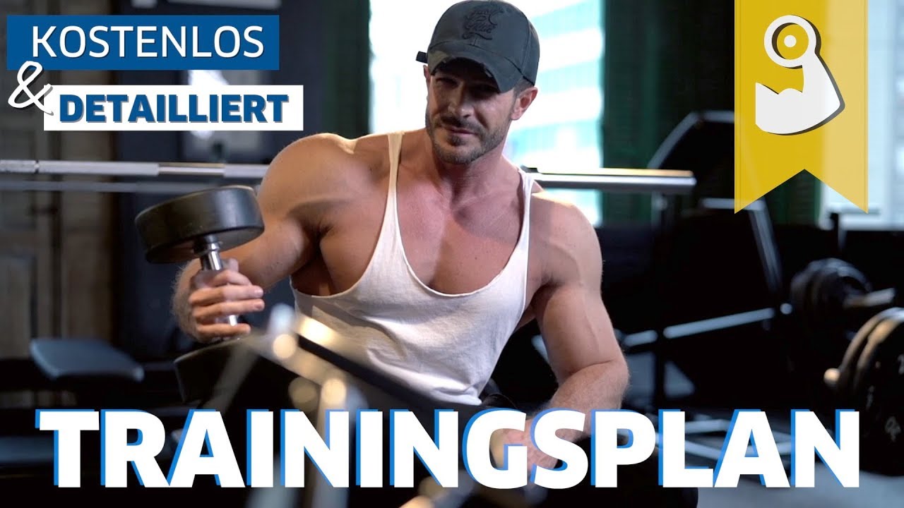Kompletter Trainingsplan So beginnst du (wieder) im Gym YouTube
