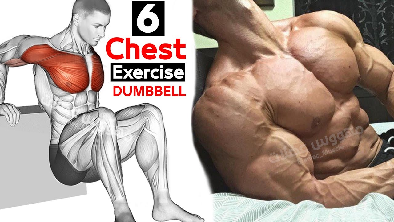 6 DUMBBELLS Chest WORKOUTS Full Exercise YouTube