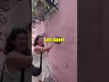 🐒 Ce mur cache quelque chose d’incroyable 😳