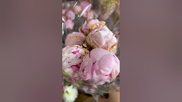 Peony season at Trader Joe’s!! 😍 #flowers #peony #traderjoes