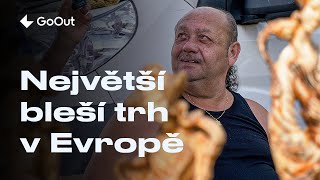 Download Mp3 Co jsme si koupili na největším blešáku v Česku? Gudang lagu Download Mp3 Co jsme si koupili na největším blešáku v Česku?