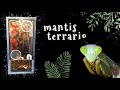 Cómo hacer un terrario para Mantis + Explicación