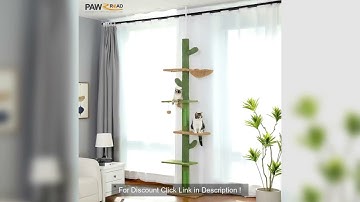 Cat Tree 5-Tier Floor to Ceiling Cat Tower Cactus Tall Climbing Tree with Scratching Post Hammock Da