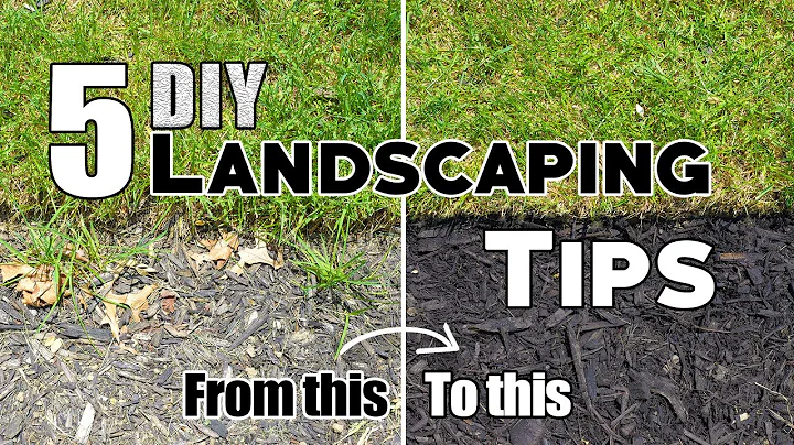 5 Cheap & Easy DIY Landscaping Tips & Ideas (Plus Bonus Tips!) 🌱