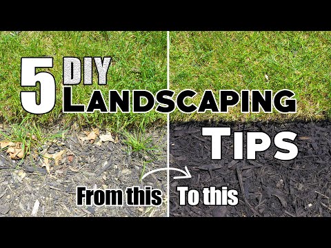 5 Cheap & Easy DIY Landscaping Tips & Ideas (Plus Bonus Tips!) 🌱