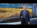 Россия на мировом рынке пшеницы