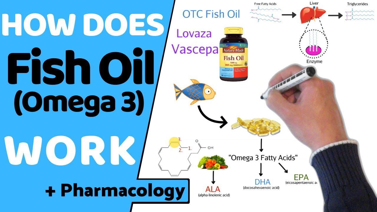 new research on fish oil