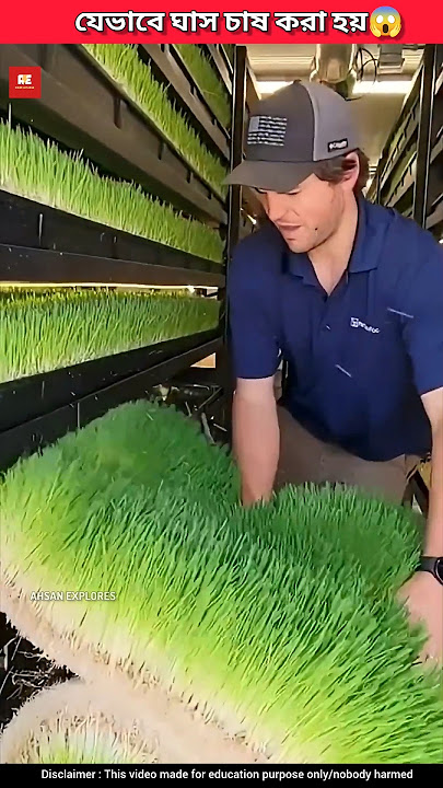 how grass is cultivated! 😱