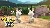 Ubi ラビッツ ゴー ホーム Youtube
