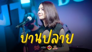 Video thumbnail of "BOWKYLION - บานปลาย (best wishes) [Live] @ RINMA"