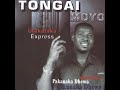 Tongai Moyo - Munyaradzi Wangu (Pakanaka Dhewa Album 2004) (Official Audio)