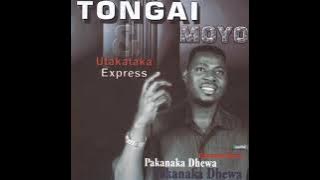 Tongai Moyo - Munyaradzi Wangu (Pakanaka Dhewa Album 2004)