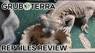 MY REPTILES TRY BLACK SOLDIER FLY LARVAE | GRUBTERRA REVIEW