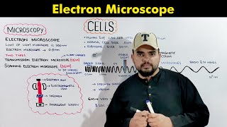 Electron Microscope (Transmission and Scanning Electron Microscope) O & A Level Biology