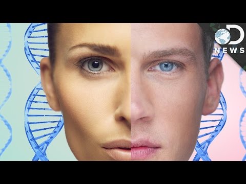 Video: The Biological Chimerism Of People With Double DNA - Alternative View