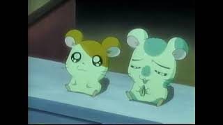 Hey You Know What Hamtaro