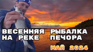 Рыбалка на реке Печора. открытие сезона по открытой воде. 2024.