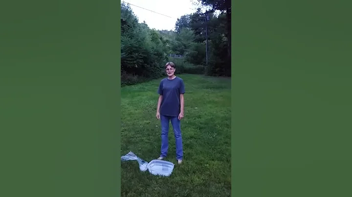 Denise doing the, als challenge