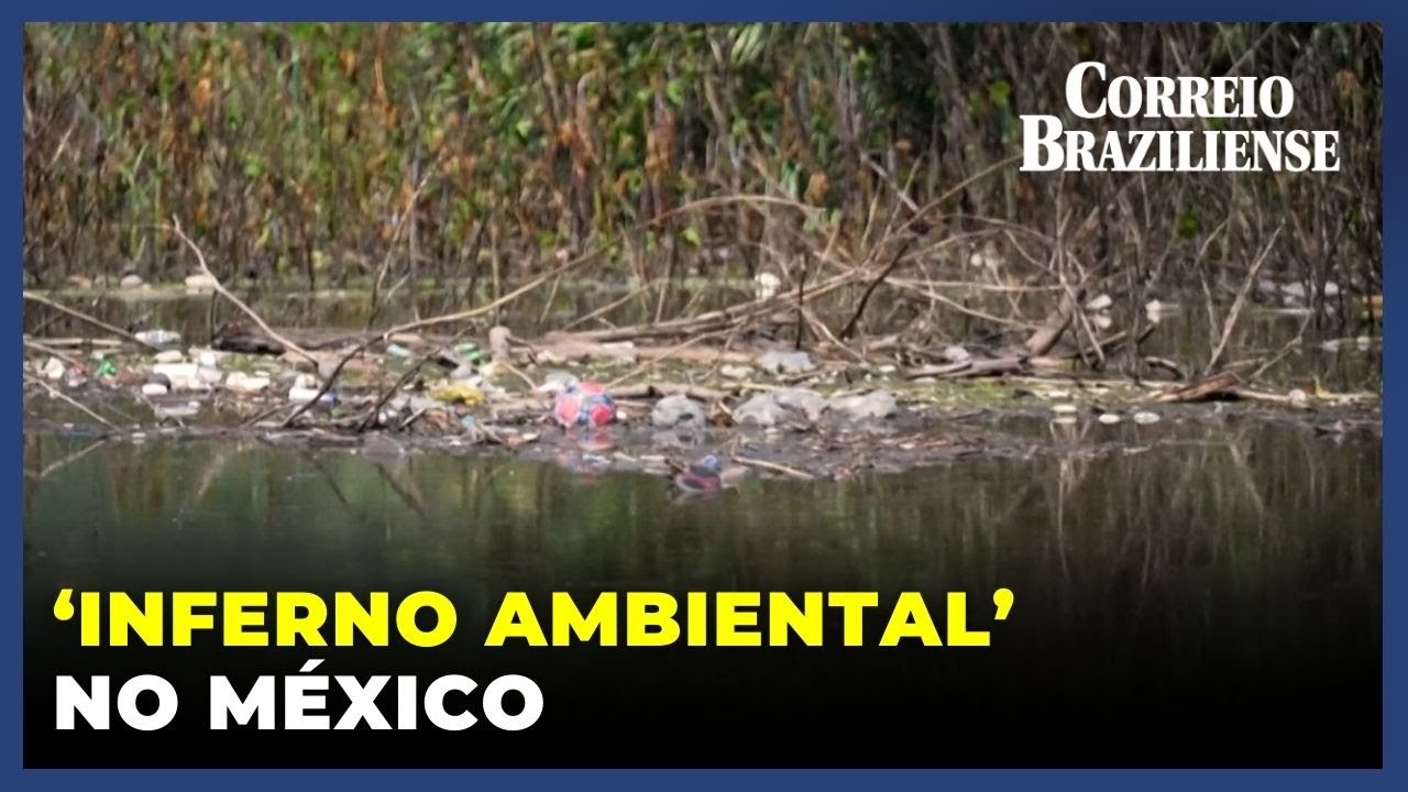 uma luz no fim do túnel para o 'inferno ambiental' no méxico - 