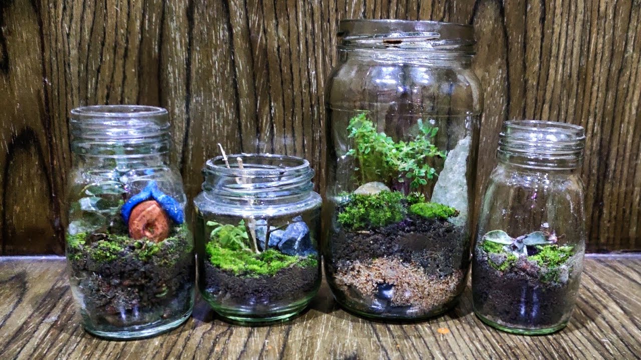 Terrarium / Home decor/ DIY 