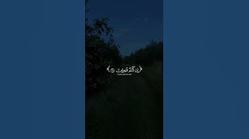 سورة الأنبياء من آية 66 الى آية 69 القارئ الشيخ ياسر الدوسري
