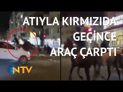 @NTV Trafiğe atıyla çıkıp video çekerken kaza yaptı