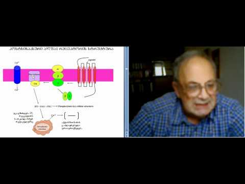 მოლეკულური ფარმაკოლოგია 4.1