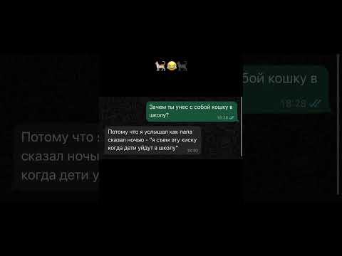 По осторожнее с кисками) #юмор #мемас #мем #смешнойшортс #прикол #шуточное #memes #жиза #смешновидео