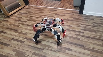 Hexapod - erste Versuche. Funktionsvideo