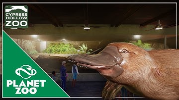 EASY Platypus Habitat Tutorial | Cypress Hollow Zoo | Planet Zoo