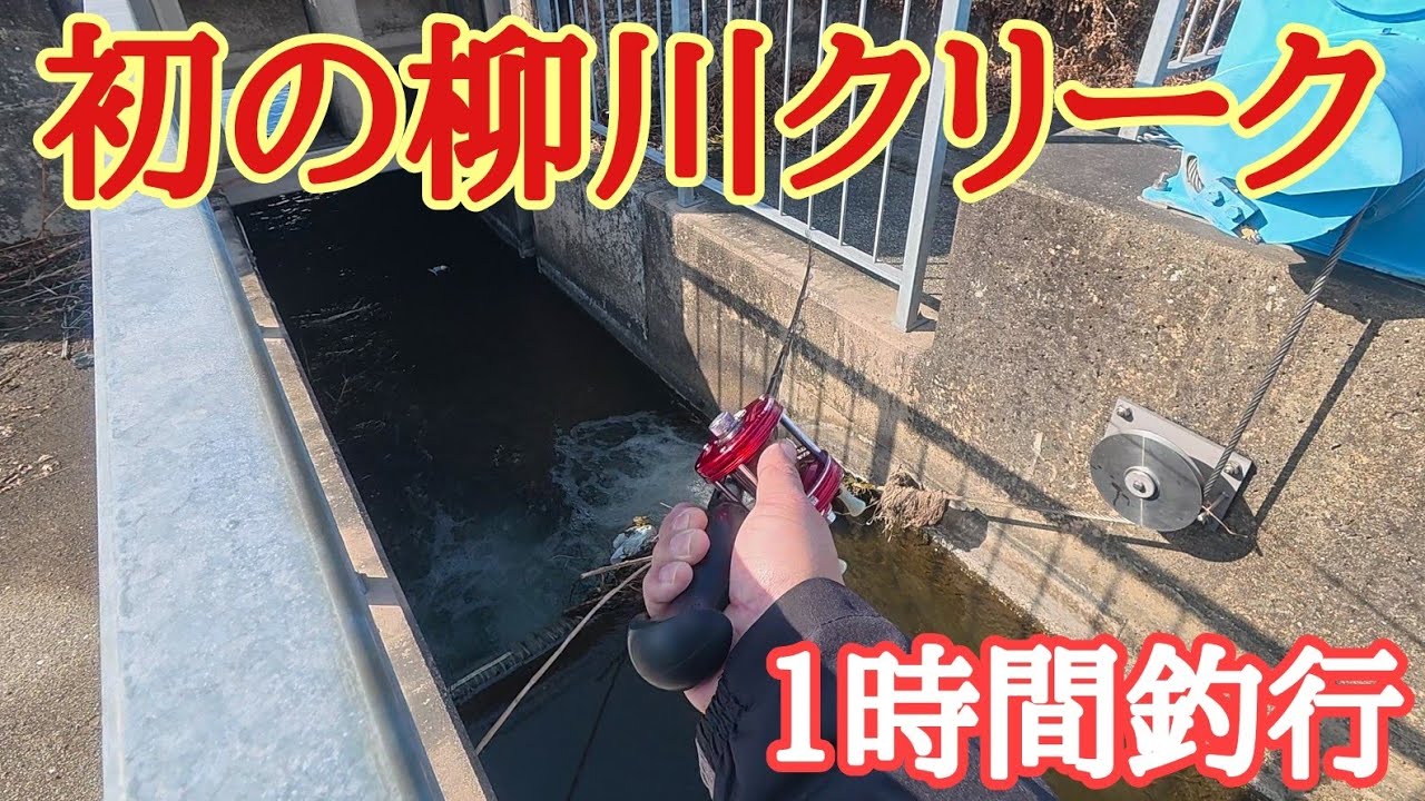 初めて柳川クリークで釣りしてみたよって話。【River fishing in Japan】