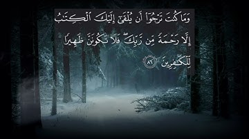 ياسر الدوسري إن الذي فرض عليك القرءان لرادك الى معاد تلاوة جميلة وهادئة