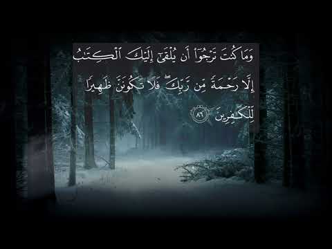 ياسر الدوسري إن الذي فرض عليك القرءان لرادك الى معاد تلاوة جميلة وهادئة