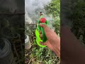 DIY fogging machine #shortsvideo