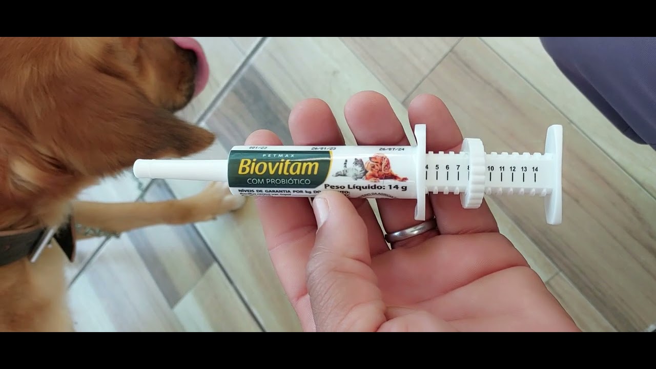 #eduardo,dando Biovitam com probiótico,pois ele estava muito debilitado ...